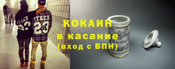 шишки Гусев