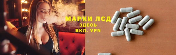 шишки Гусев