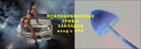 альфа пвп Гусь-Хрустальный