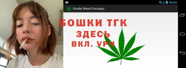 шишки Гусев