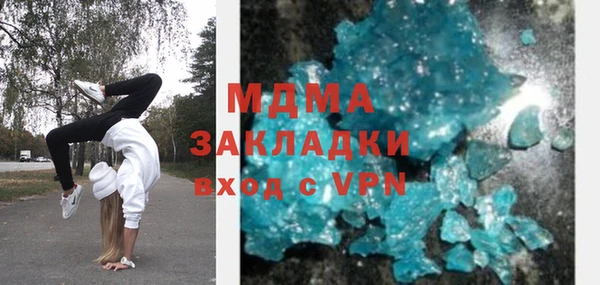 шишки Гусев