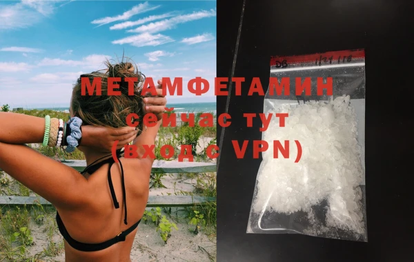 шишки Гусев