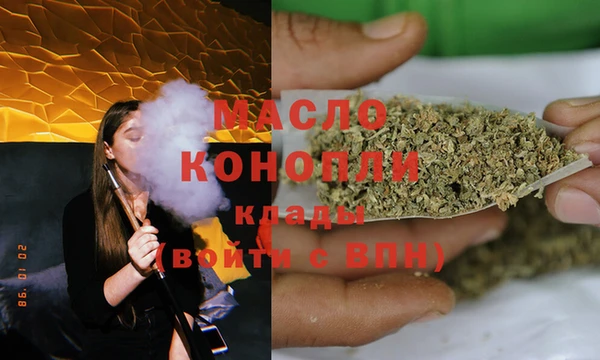 шишки Гусев