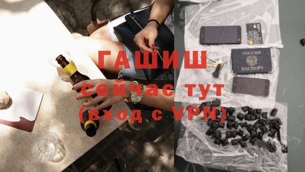 шишки Гусев