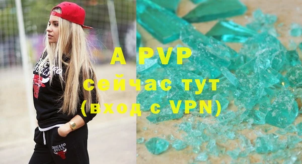 шишки Гусев