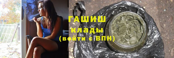 шишки Гусев
